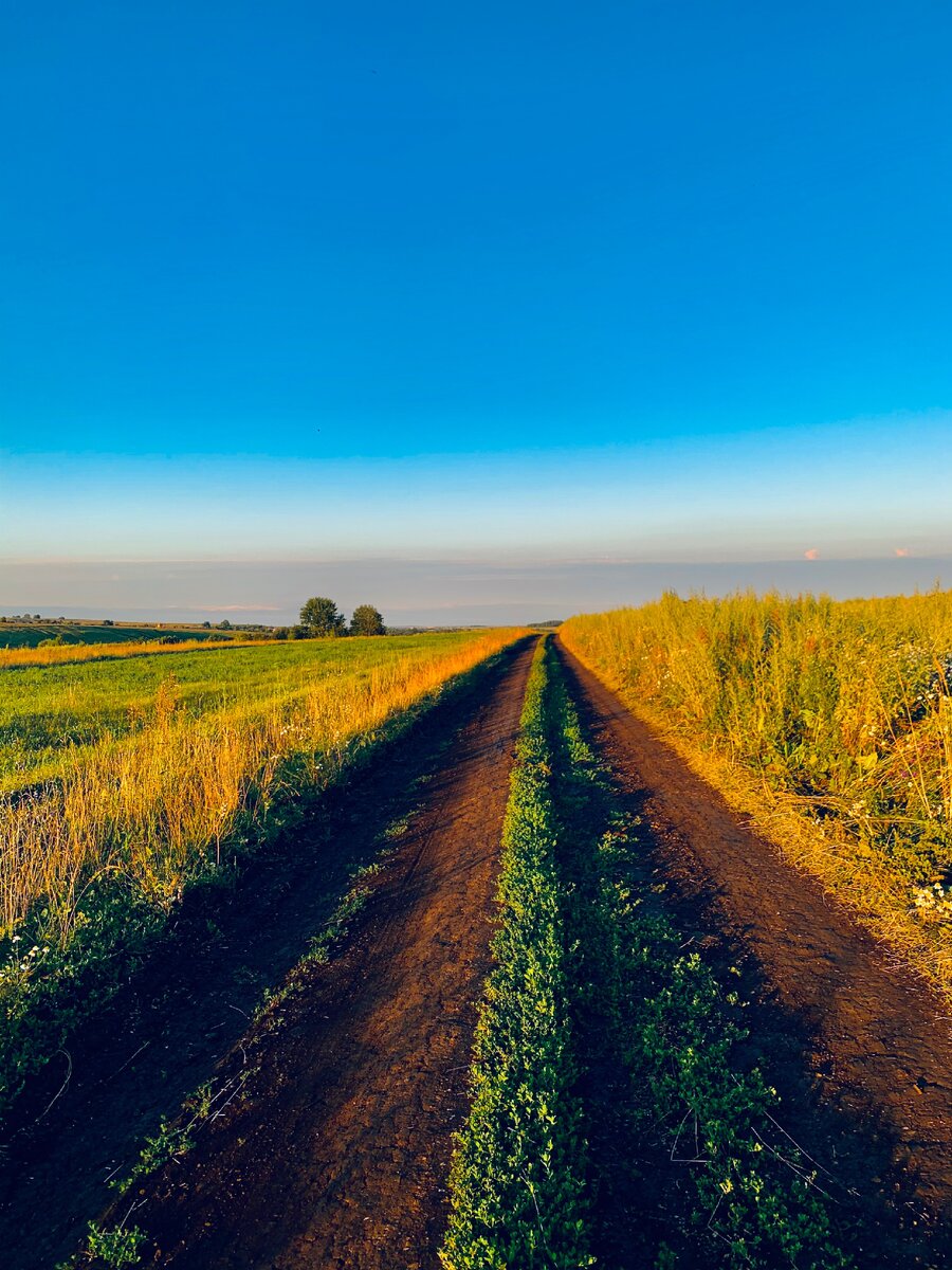 Дорога в России.