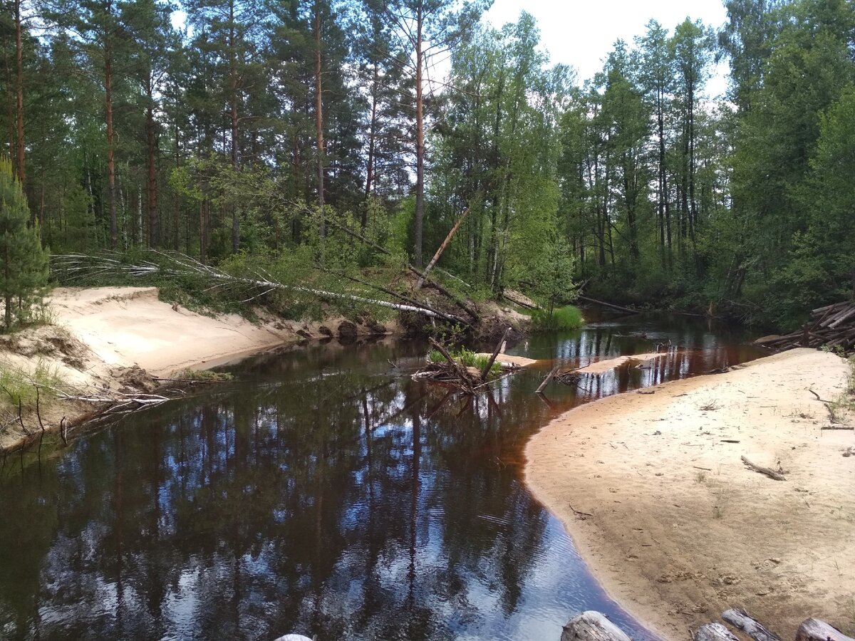 Река Юг Чкаловский район