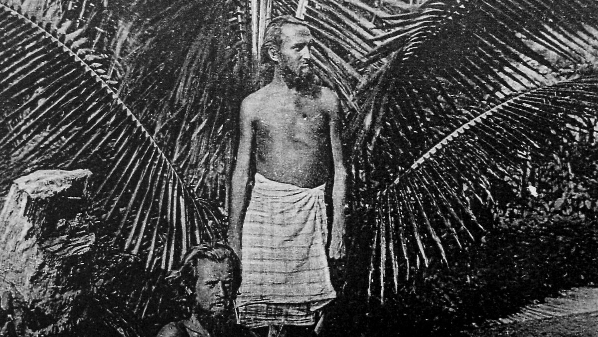 Герой истории среди островной растительности. Источник: яндекс-картинки.