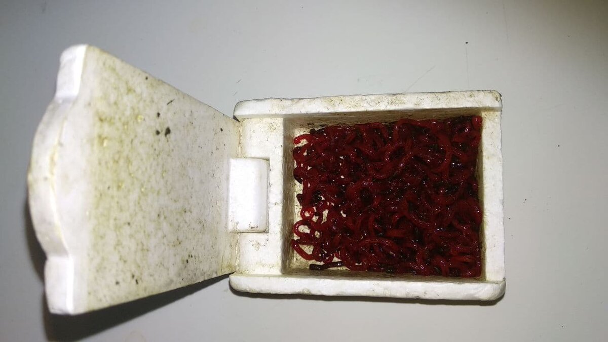 Очень распространены специальные пенопластовые баночки