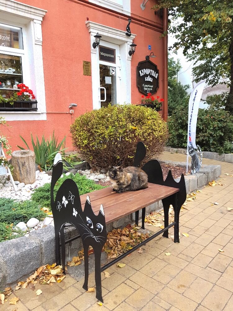 Коты в Зеленоградске встречаются повсюду: на стенах домов, в оформлении лавочек, номеров домов, вывесок, на сувенирах, в декоре улиц.  (фото из Инстаграма автора: https://www.instagram.com/p/CF6Zo9lgyF3/)