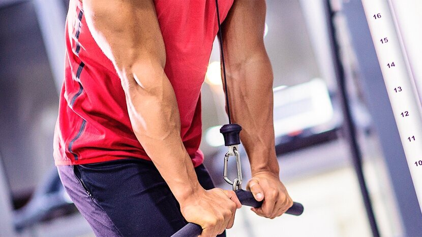 Источник фотографии: https://www.bodybuilding.com