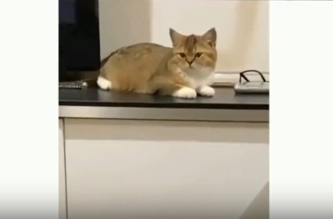 -1-3