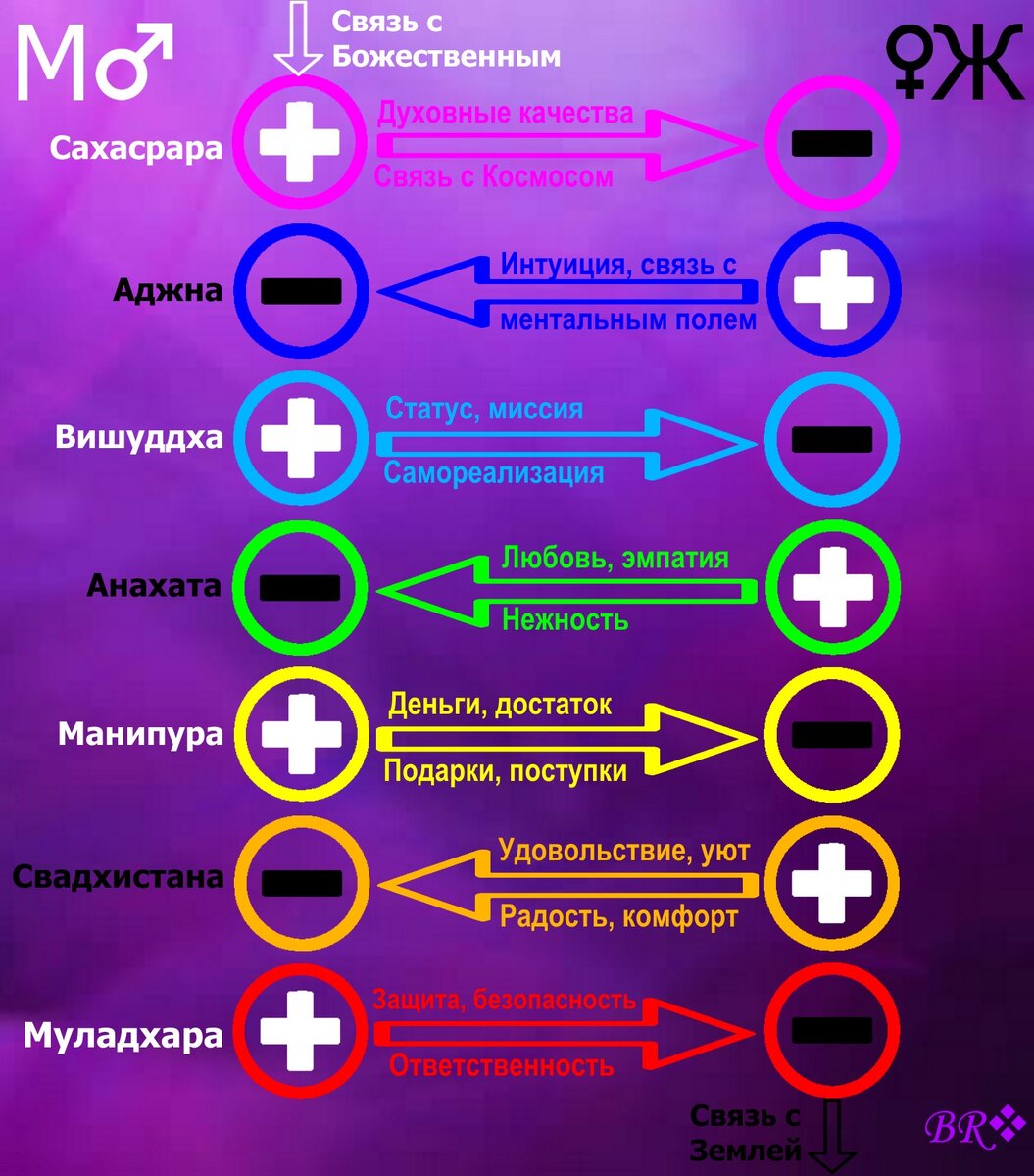 Рисунок 2. Энергообмен между мужчиной и женщиной: схема “дающих” и “принимающих” чакр