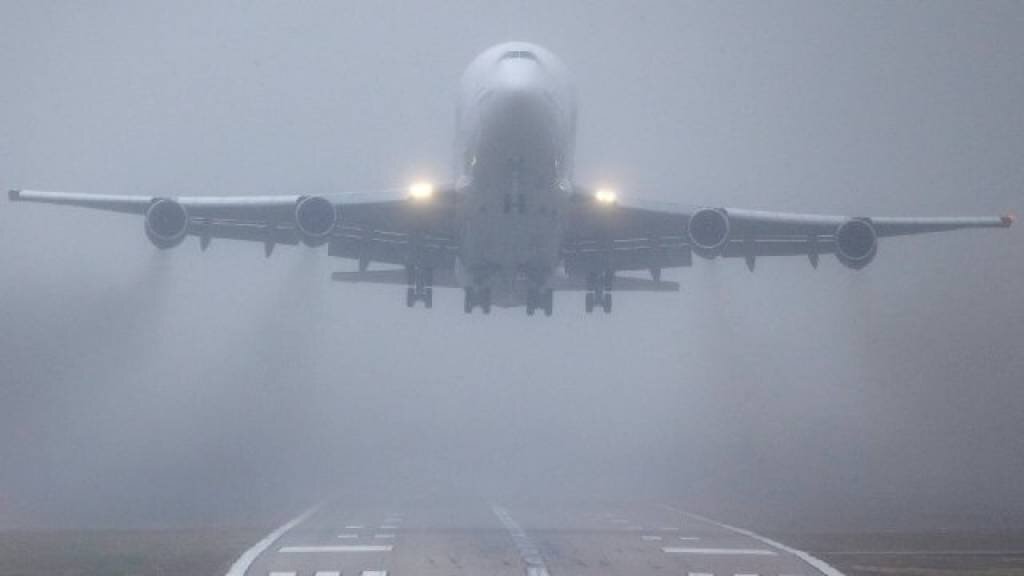 Фото взято из интернета.