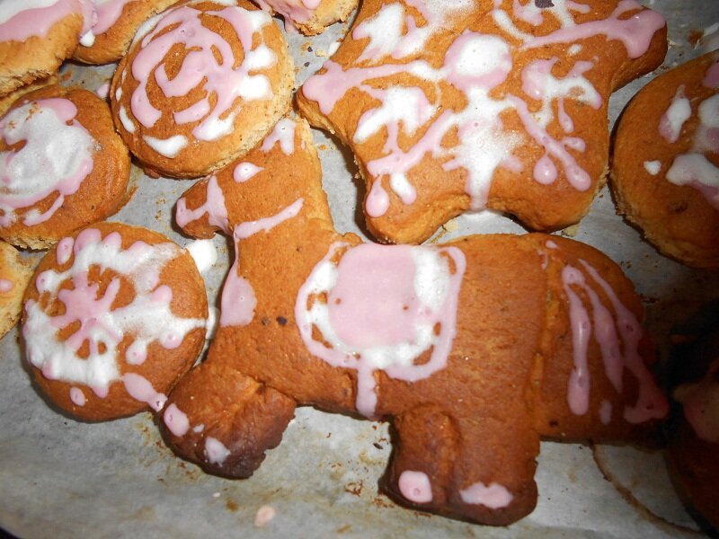 все фото авторские