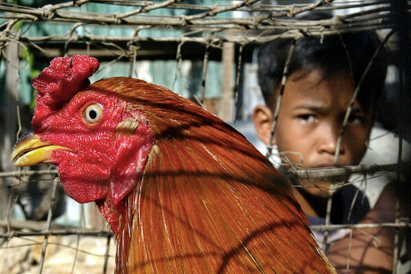 Фото из Yandex