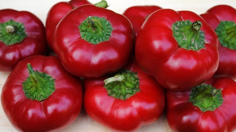 источник Яндекс картинка