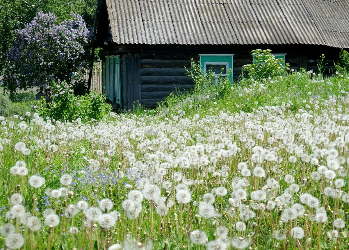 тот самый дом из сновидений