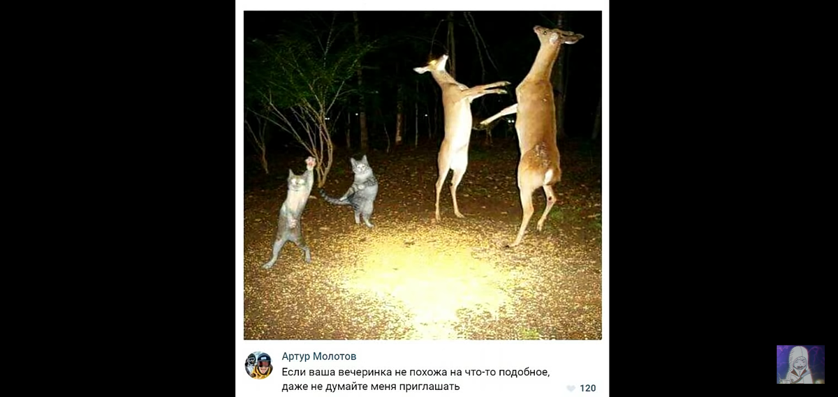 А я смотрю тут туса в самом разгаре