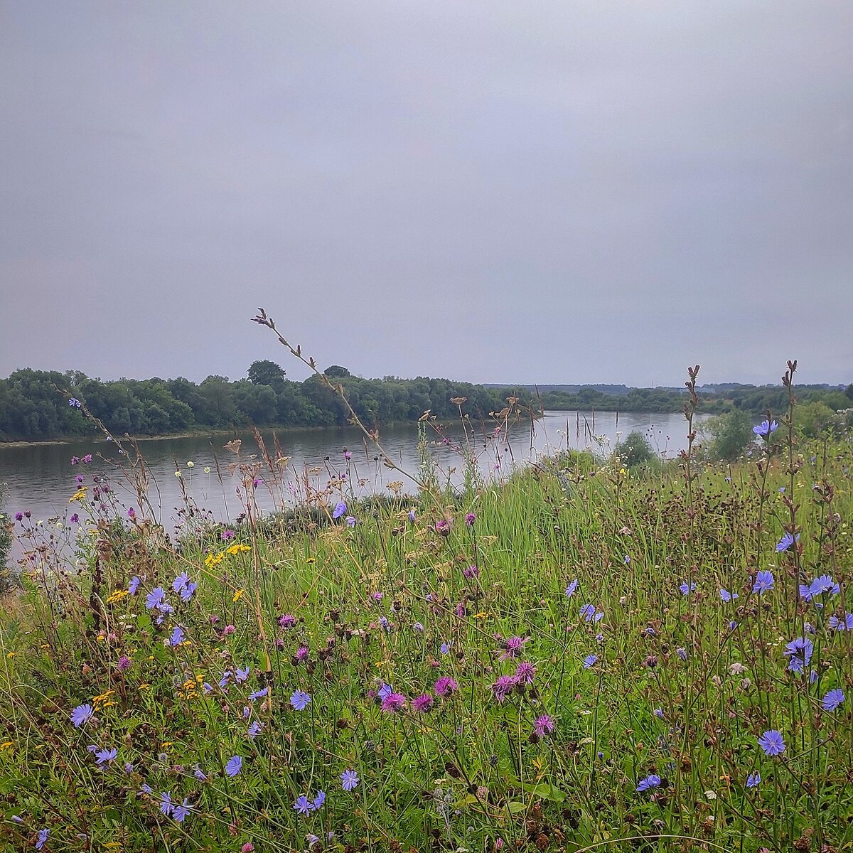 Первые впечатления от реки
