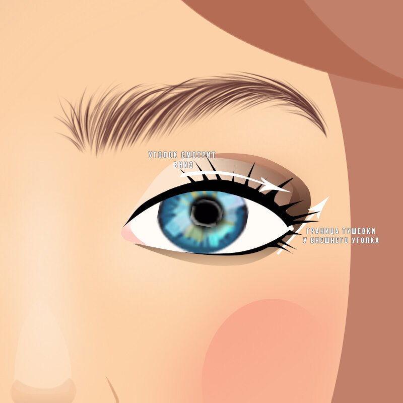 иллюстрации сделаны автором канала Бьюти Без Правил