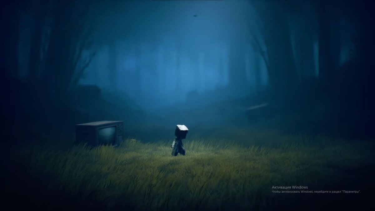 Моно в лесу