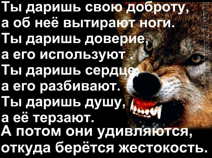 Картинка из открытых источников
