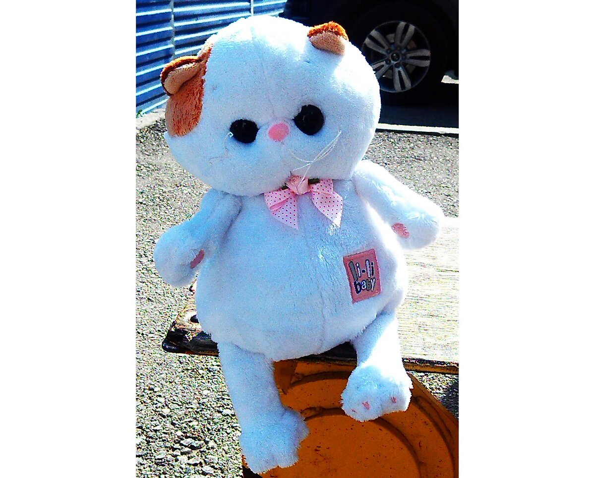 Разговаривая с ребенком, дайте ему в руки любимую игрушку.