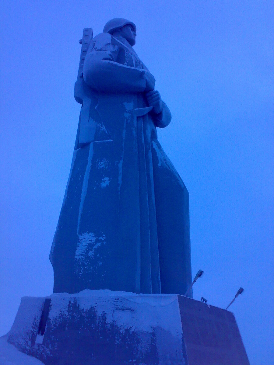 Цветы заполярья мурманск
