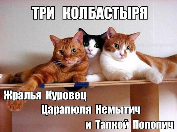 из открытых источников