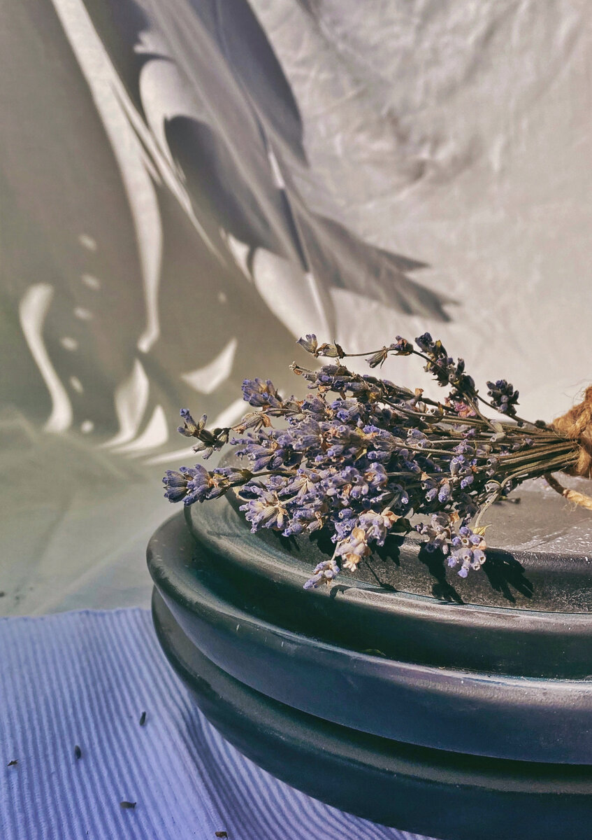 Тарелки Maole. коллекция Étretat