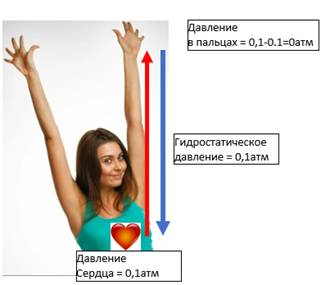 https://img14.postila.ru/resize?w=620&src=%2Fdata%2F3f%2F0f%2F26%2F64%2F3f0f266409a6bad399e6738a6f1762cd666d30fe33dd26e0ec12338eab557bfd.jpg
