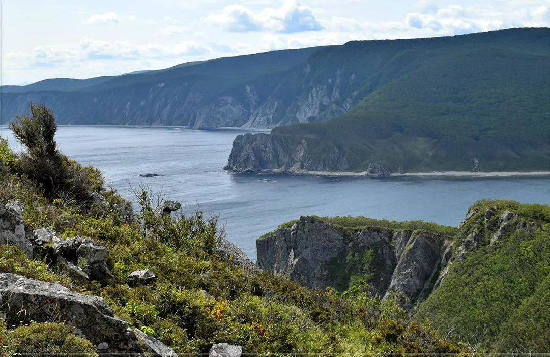 Сито алинский заповедник. Сихотэ алинь. Флора сихотэ алинского заповедника. Биосферные заповедники дальнего востока. Сихотеалиньский заповедник приморского края.