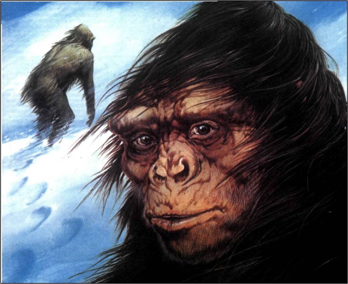 Реликтовый гоминид картинка из открытого источника.