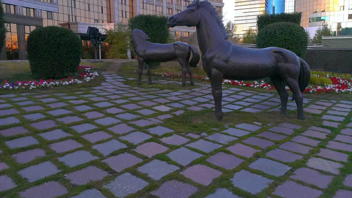 не знала я в 2015, что сделаю супер подходящие к статье в 2021 фотки)