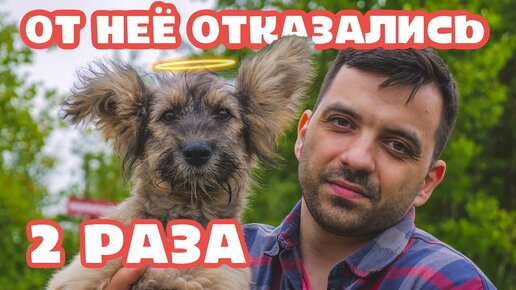 Télécharger la video: Нам вернули собаку и еще раз отказались от нее.