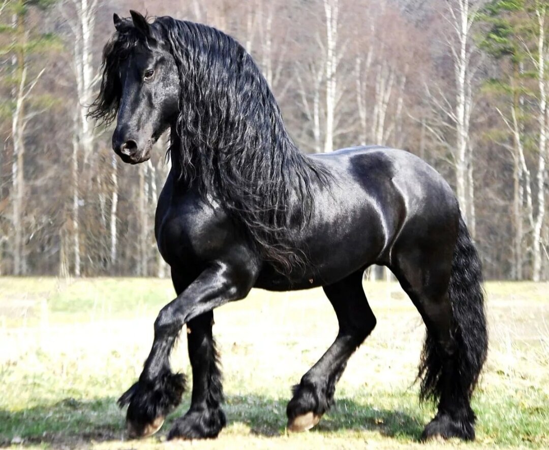 из открытых источников интернета