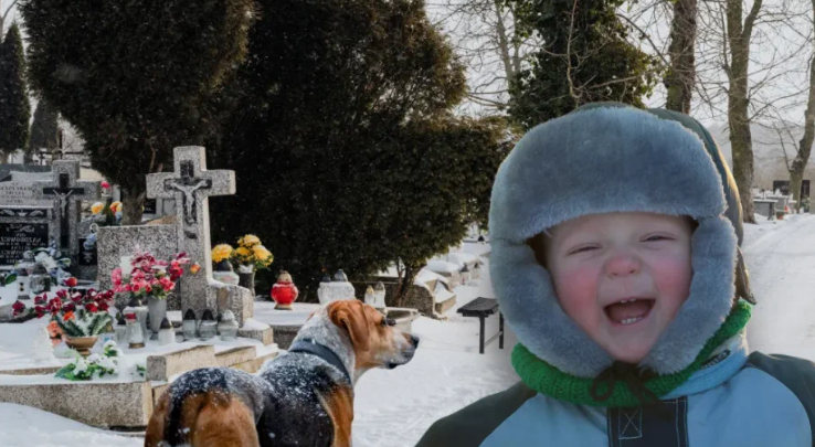 Добавьте описание