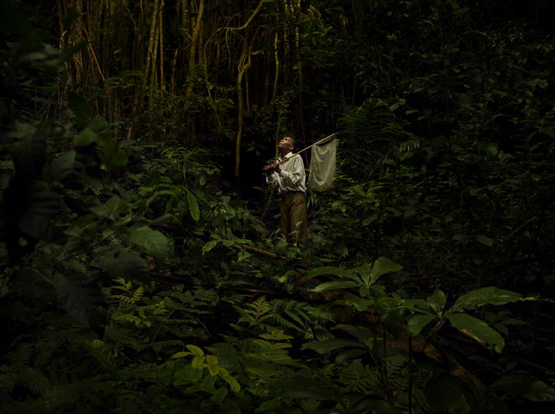 67-летний Джон Мганга – бывший лаборант научно-исследовательской станции Амани в Танзании. С 1970-го по 1977 год он работал с британским энтомологом Джоном Рейболдом, сачком отлавливая насекомых для исследований. Фото: Евгения Арбугаева