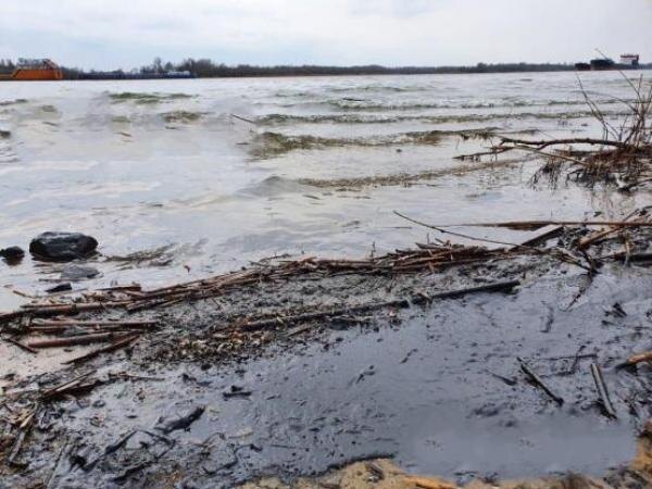 Источник фото: donday.ru 