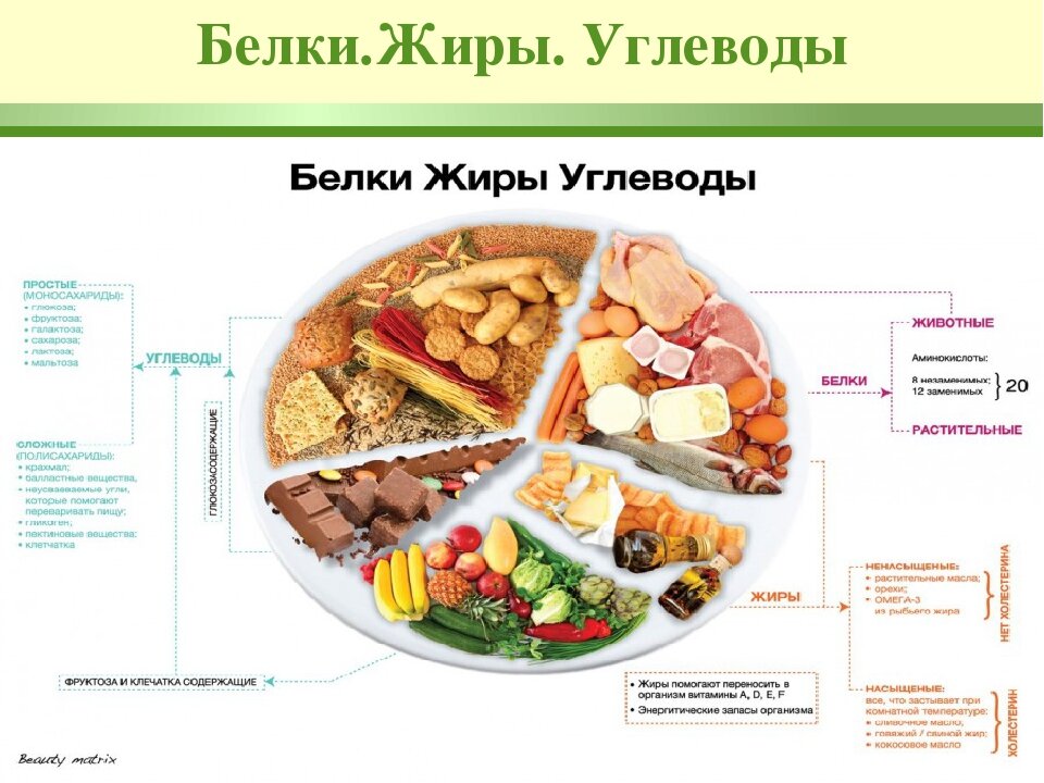 Питание б г. Таблица продуктов питания белки жиры углеводы. Таблица продуктов белки жиры углеводы клетчатка. Правильный рацион питания схема белки жиры углеводы. Белки жиры углеводы соотношение правильное питание таблица.