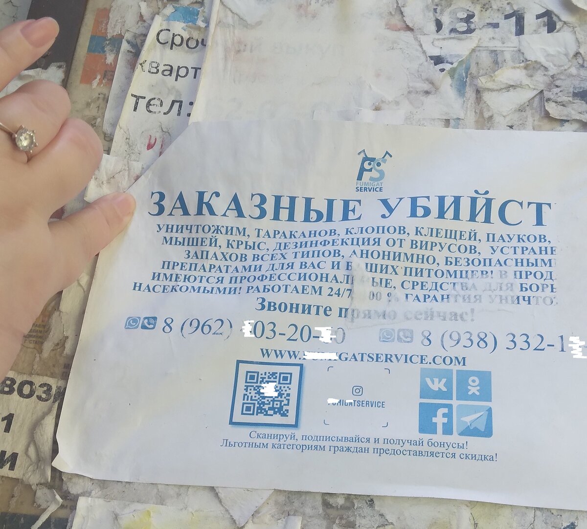 Эти объявления быстро сорвали в округе, но одно всё-таки осталось. Фото автора блога