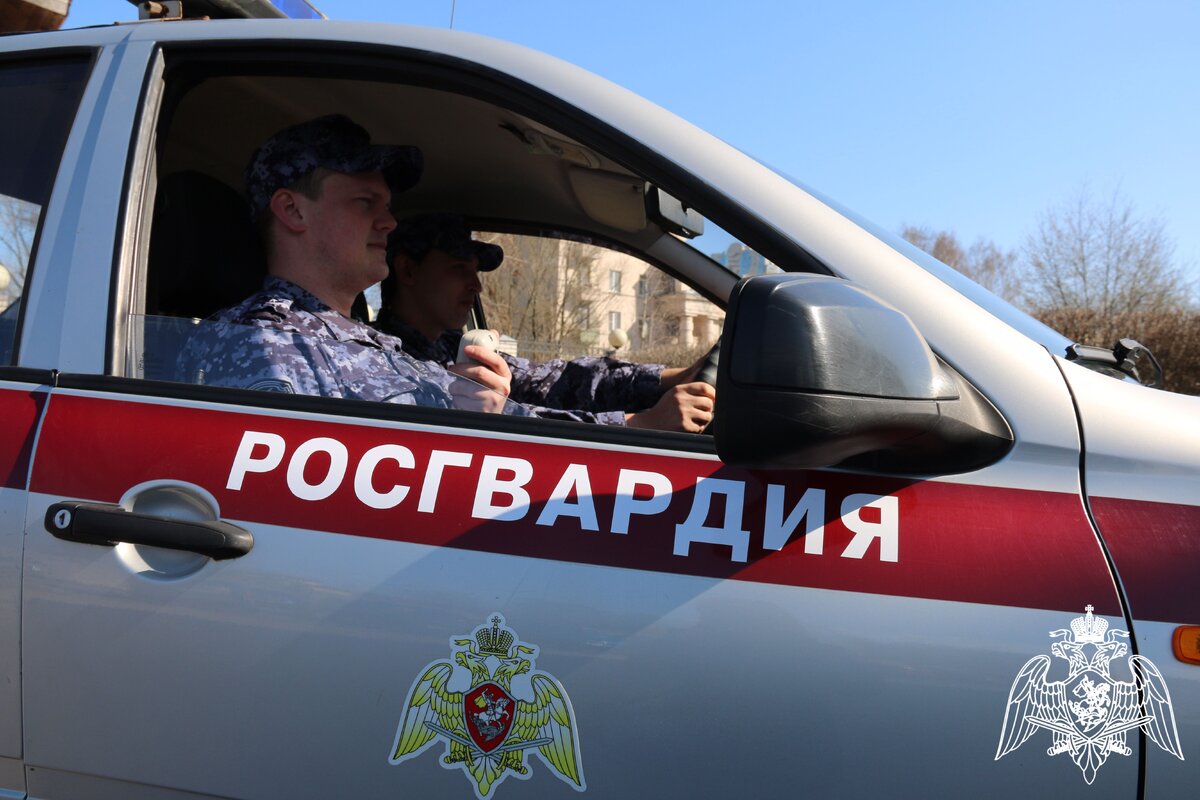 В НИЖНЕМ НОВГОРОДЕ РОСГВАРДЕЙЦЫ НАШЛИ КРАДЕНЫЙ ТЕЛЕФОН | Росгвардия. Приволжский  округ | Дзен