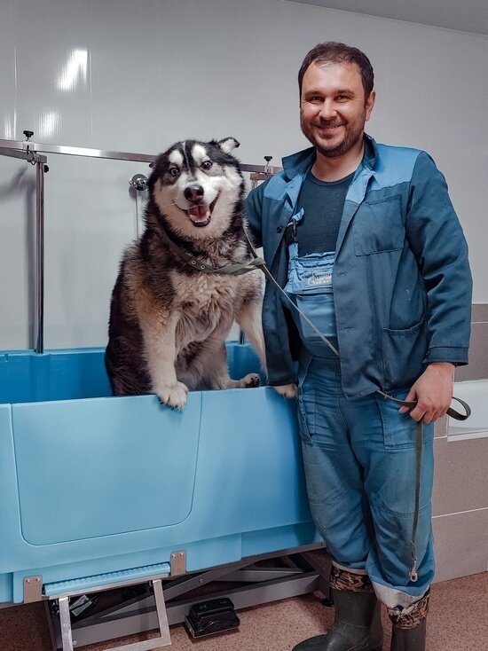 ФОТО: VK.COM «УМКА» ПРИЮТ ДЛЯ БЕЗДОМНЫХ ЖИВОТНЫХ