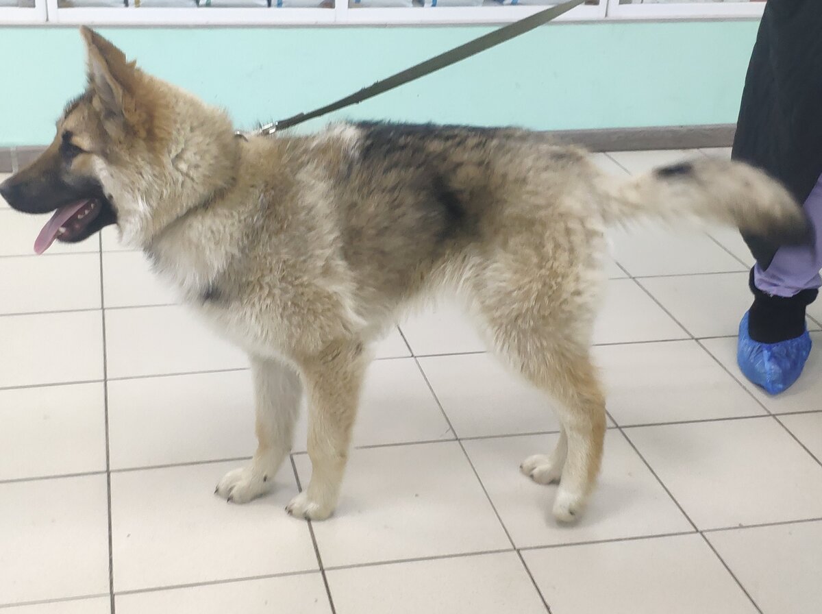 Валет в клинике " Друг" 