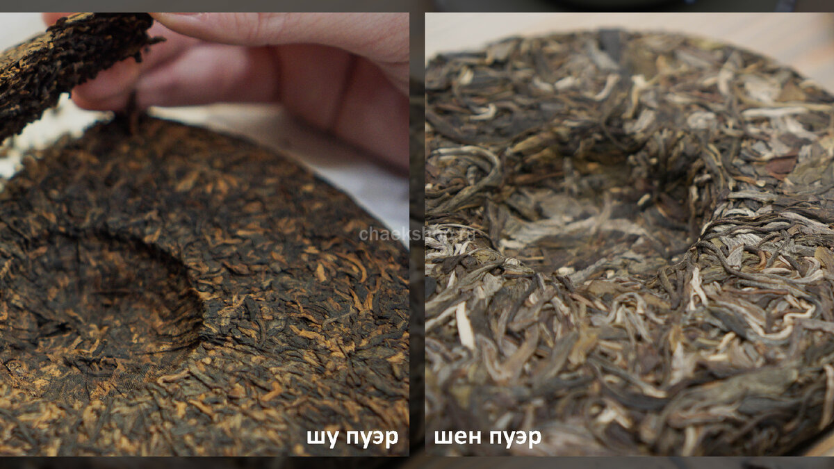 чай шен пуэр. шу пуэр биндао. шу пуэр и шен пуэр отличия. гунтин чай гун тин пуэр. шу и шен пуэр различия.