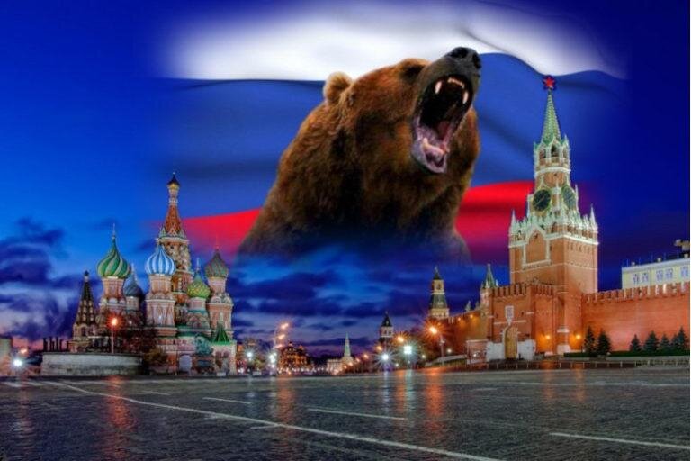 Медведи сами не пробуждаются - их будят.