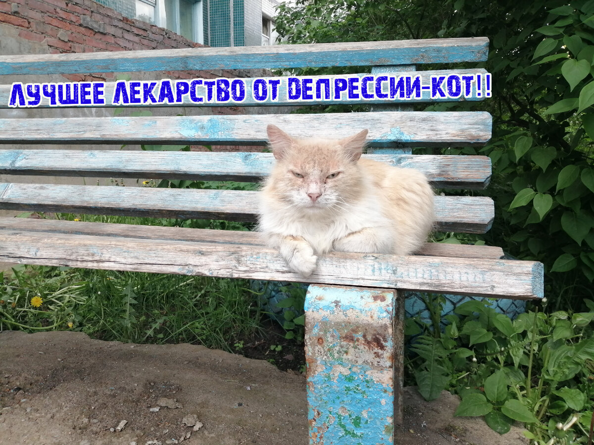 А вы согласны с надписью?