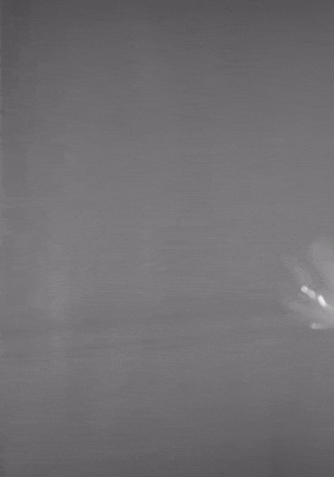 Cathal Cummins et al. / Nature, 2018