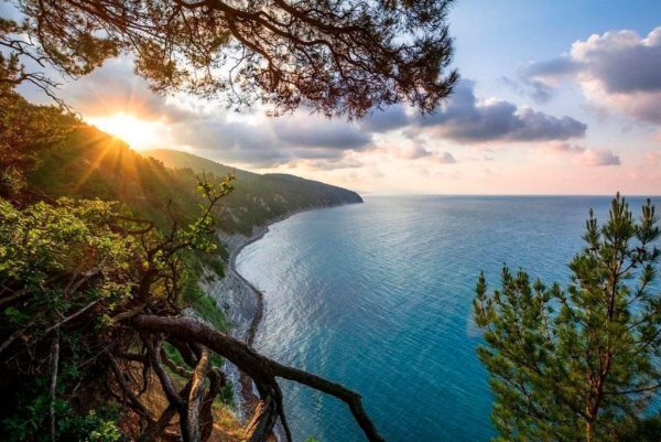 Хутор Бетта Геленджик