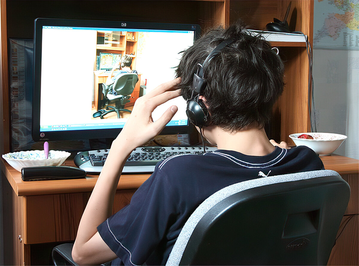 Фото из открытых источников Яндекс