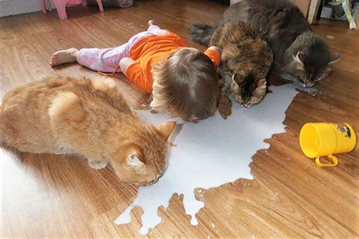 «Друзья навеки», - 15+ трогательных кадров любви между ребенком и ...