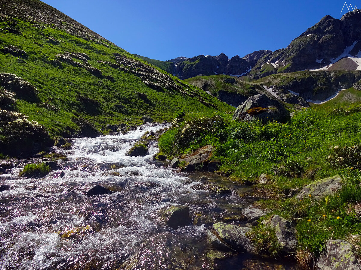 Дамхурц база отдыха фото