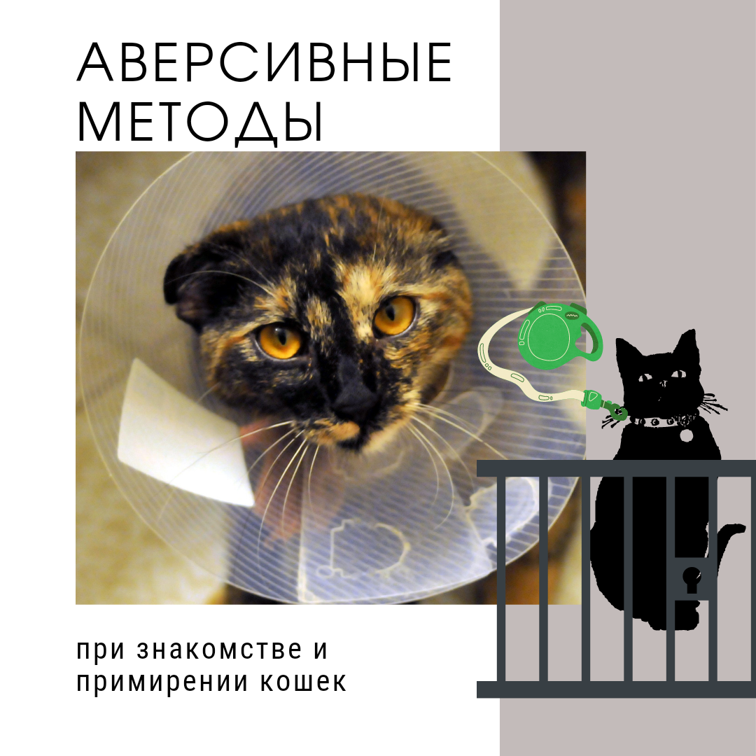 Вольеры для кошек