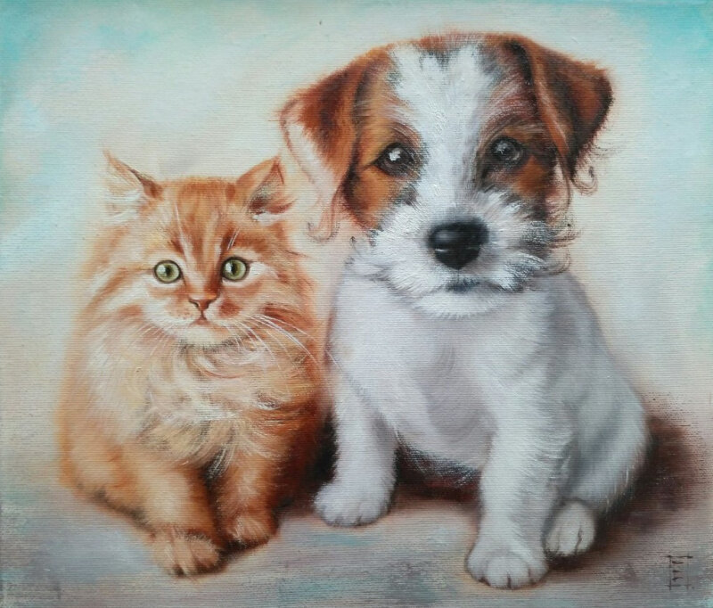 ����� ���������