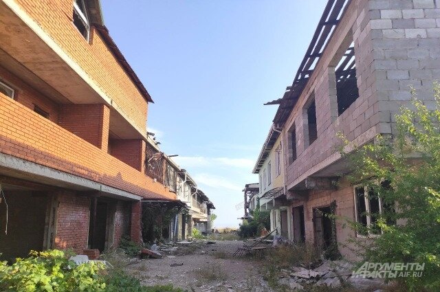    Фото:  АиФ/ Евгения Мартынова