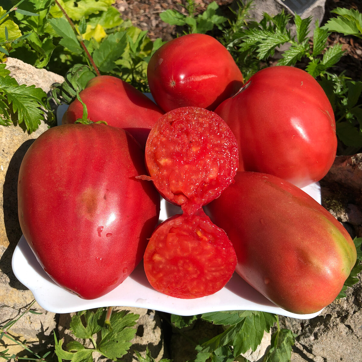 'Паста' на тарелке.