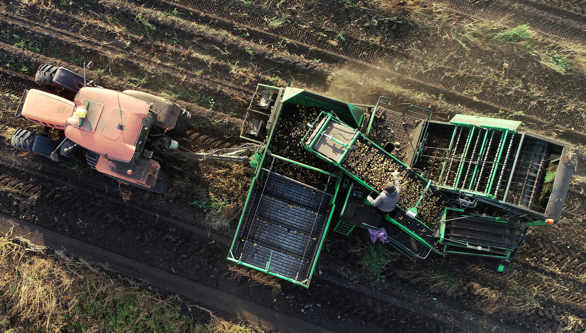     / РИА Новости / Илья Наймушин