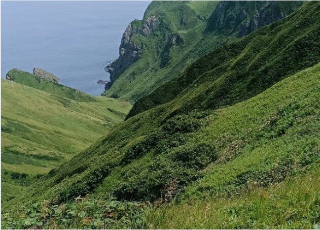 Невероятная природа о. Шикотан. Личное фото автора. 